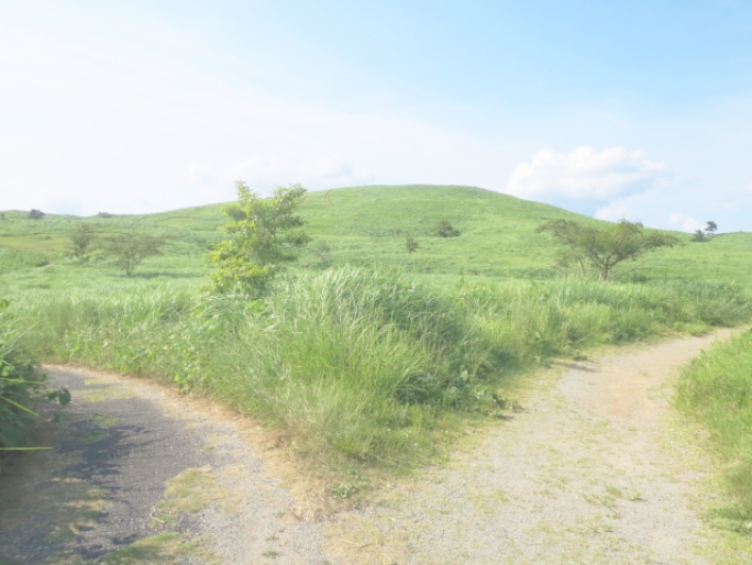 道があります